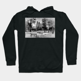 Snow Horses - Black And White Hoodie